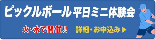 ピックルボール平日ミニ体験会