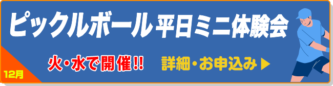 ピックルボール平日ミニ体験会